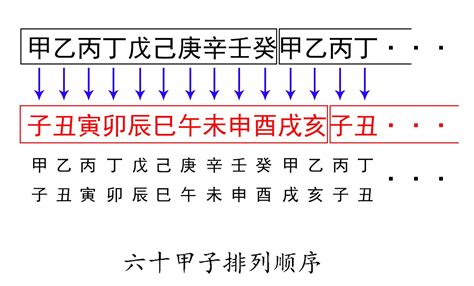 六十甲子表|图解｜六十花甲子及其排列顺